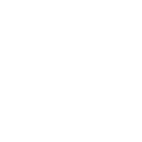 fs-adult-swin
